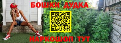 ECSTASY Кингисепп