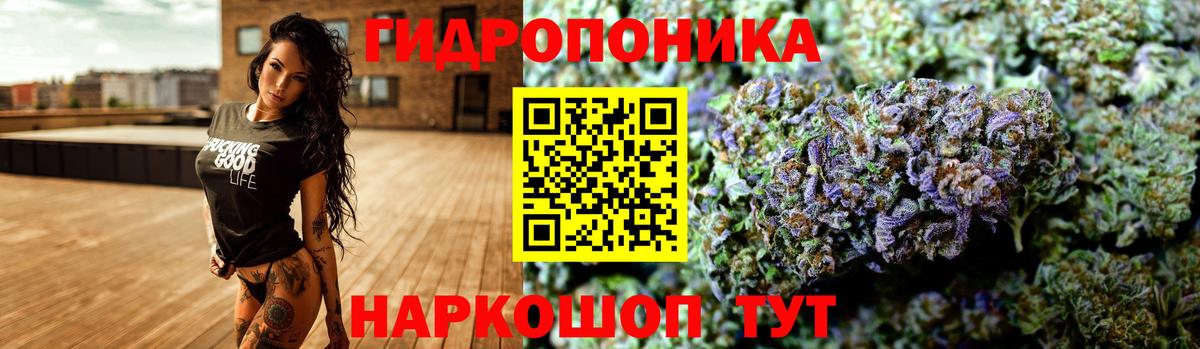 Каннабис семена  Вход с VPN  Канабис Bruce Banner  Коломна  Бошки марихуана THC 21% 